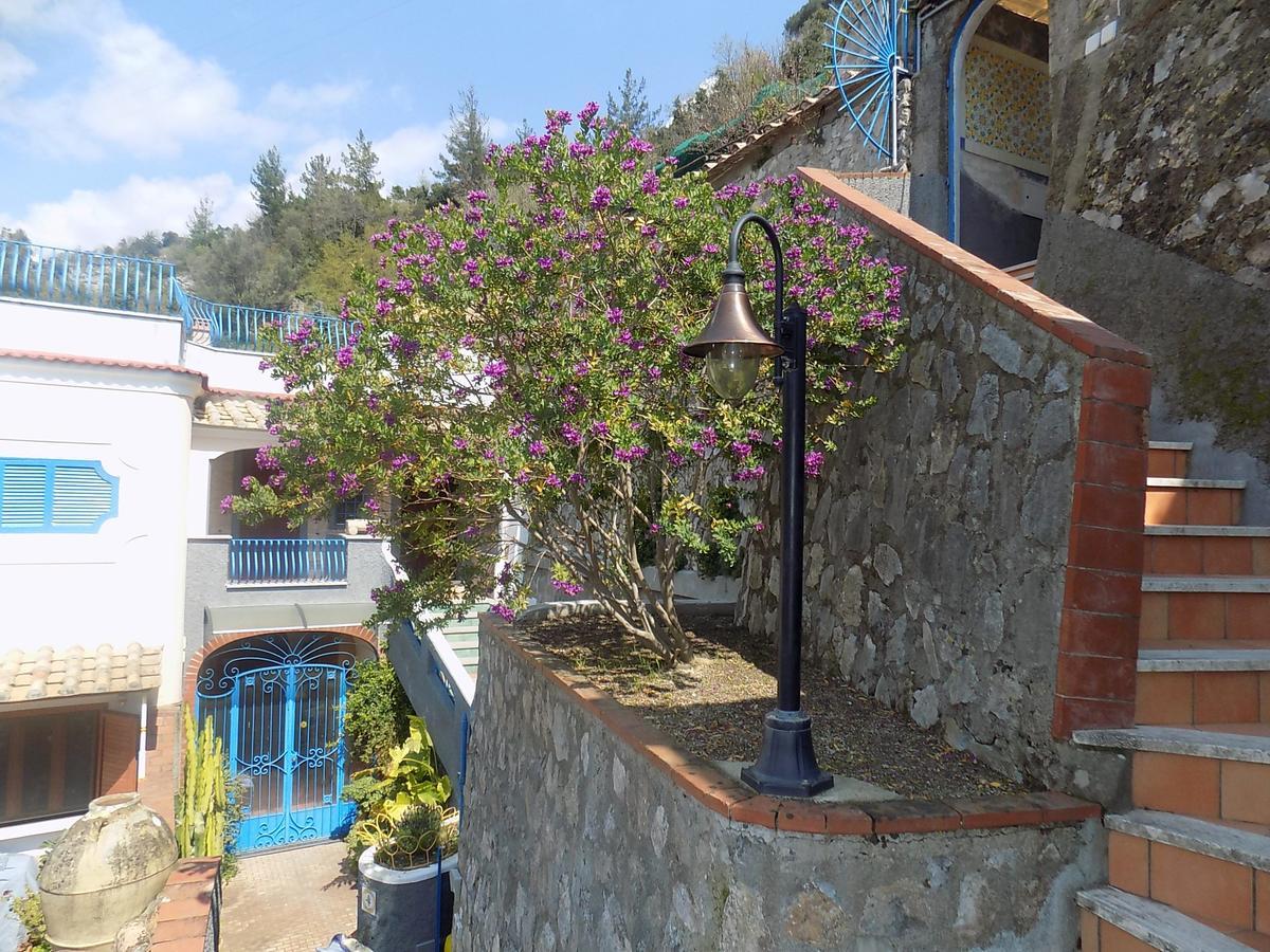 Maison De Fleurs مايوري المظهر الخارجي الصورة